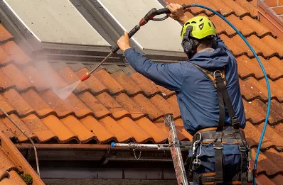 Démoussage et hydrofuge de toiture à École